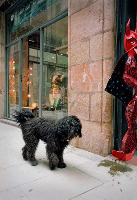 Black Dog, Barcelona, 2001