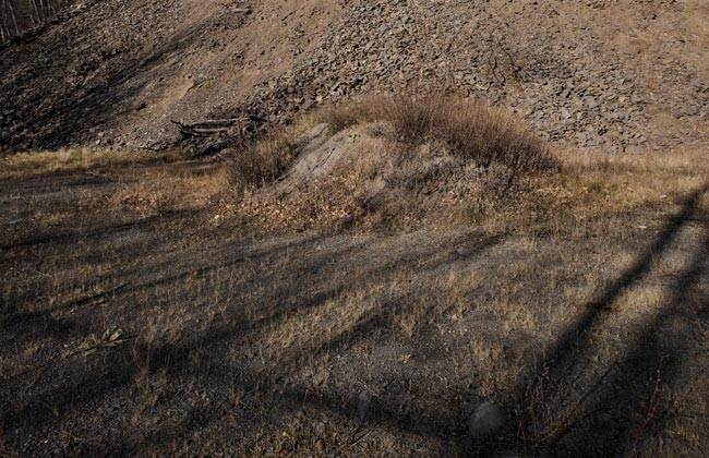 California Quarry, Woodstock, #5, 2009