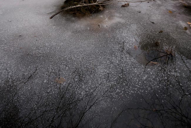 Early Spring, Snake Rock, Woodstock, 2011