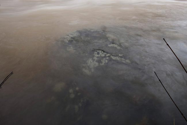 Sawkill River, Woodstock   2010