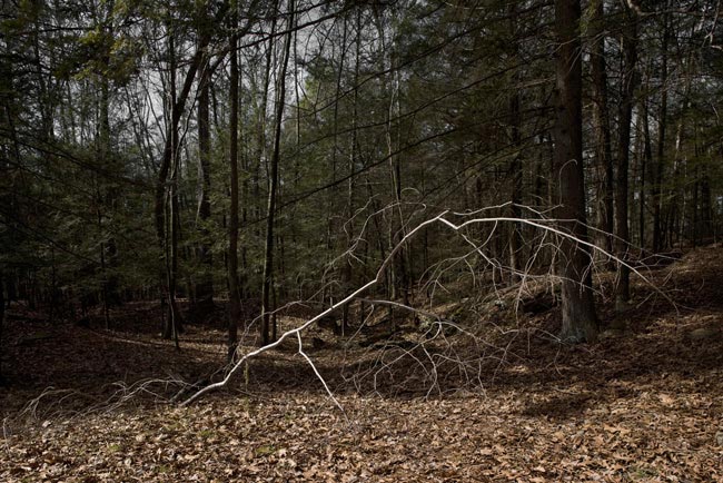 Near the Old Powder Mill, Saugerties, NY, #3, 2010 