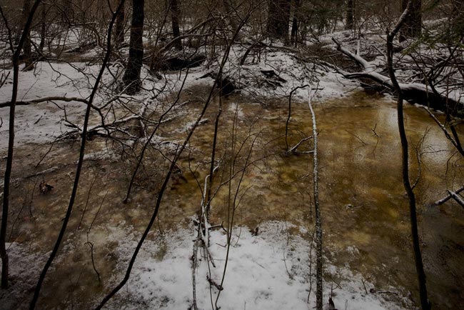 Sloan Gorge, Woodstock, #7