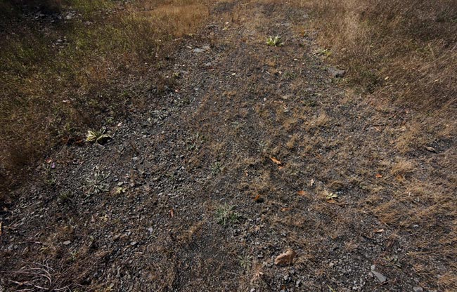 Quarry trail, Woodstock, 2010