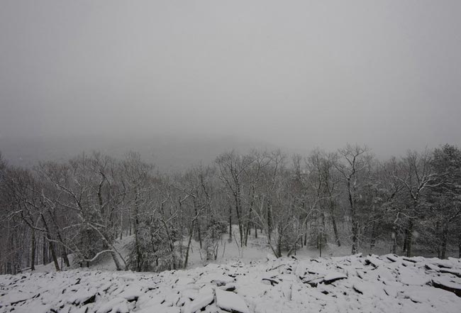 Snake Rock, Woodstock, #9, 2010