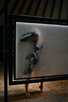 Liminal Portrait, Zoe, #33