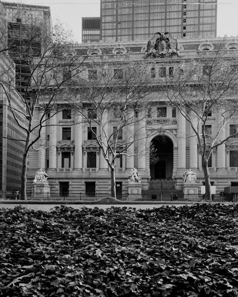 Memorial, William Street